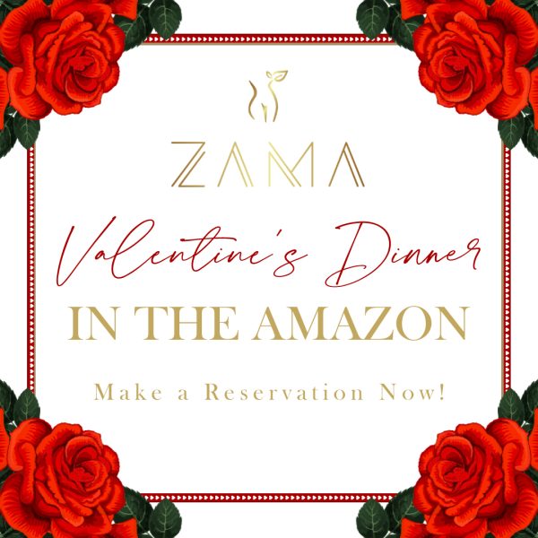 Valentine's Day Dinner at Zama in San Diego. 